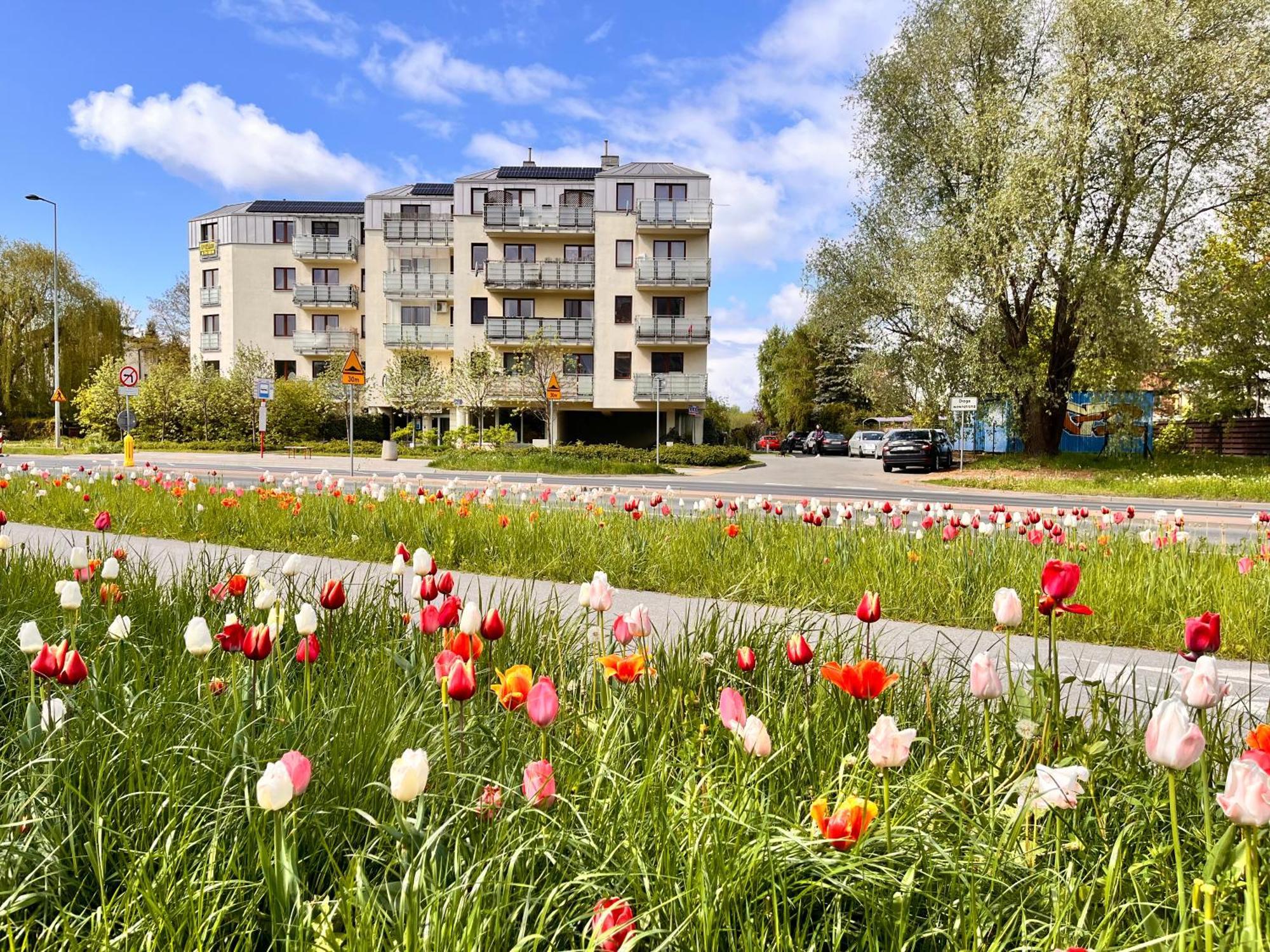 Apartament Roentgena 16 Przy Centrum Onkologii I Klinice Novum Warsawa Bagian luar foto